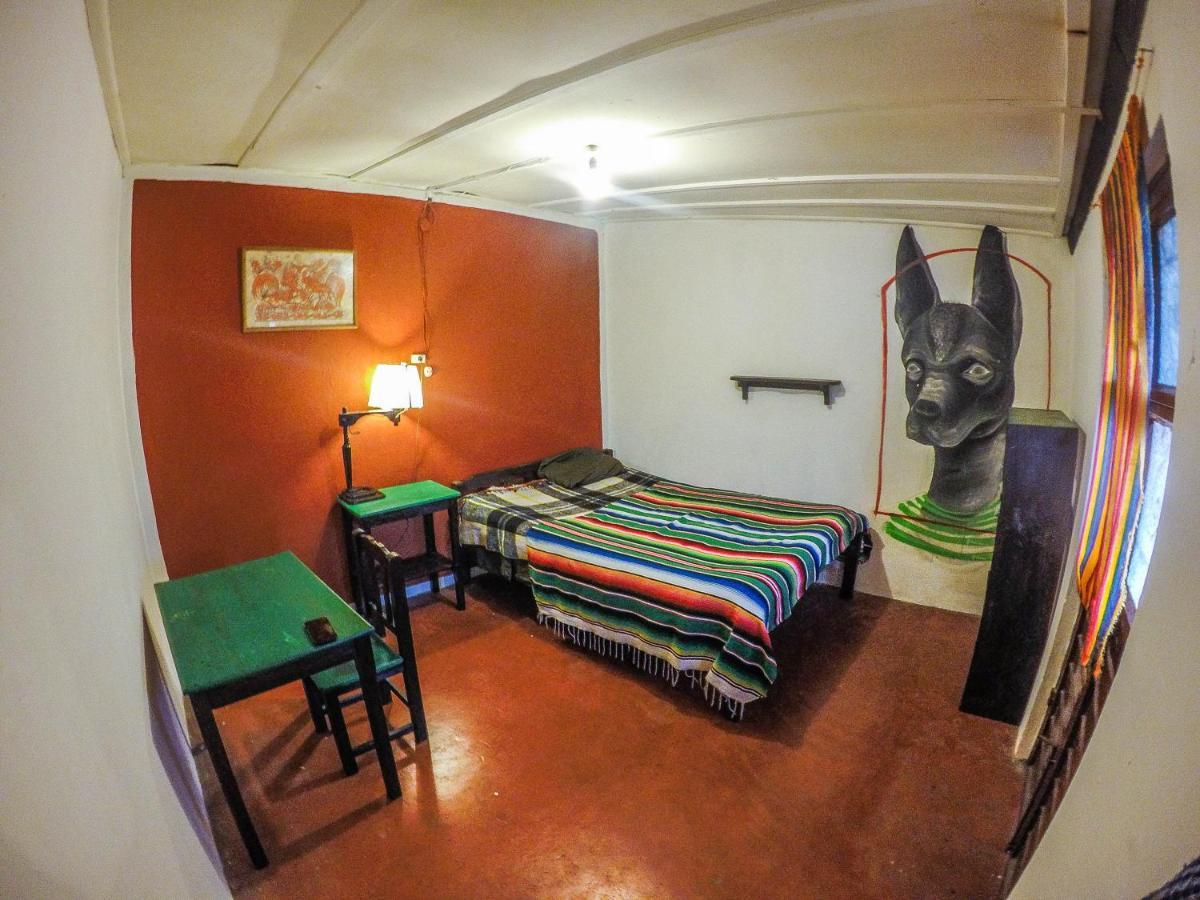 Hostel El Nagual San Cristóbal de Las Casas Esterno foto